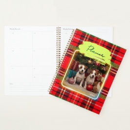 チェック柄がかわいいジャックラッセルテリアの子犬たちとクリスマス♡  PLANER