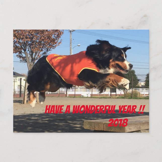 バーニーズマウンテンドッグ　年賀状　2018年　戌年 POSTKARTE (Vorderseite)