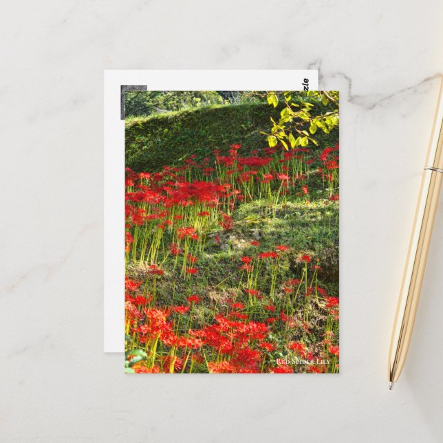 ヒガンバナ POSTKARTE (Vorderseite/Rückseite Beispiel)