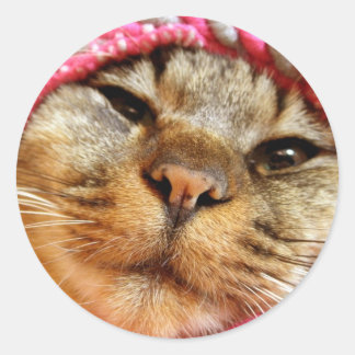 ピンク帽子のチャド RUNDER AUFKLEBER