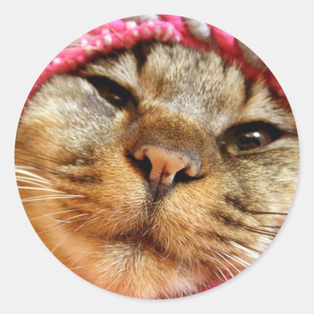 ピンク帽子のチャド RUNDER AUFKLEBER (Vorderseite)