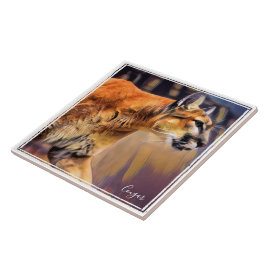 ピ ュ マ ル FLIESE