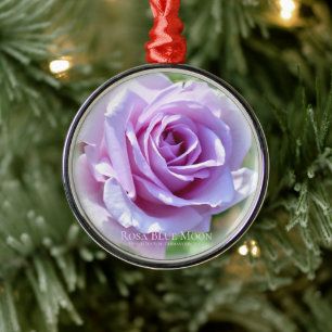 ブ vor ・. ornament aus metall