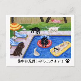 プ 囲 を で テん Labradors Postkarte