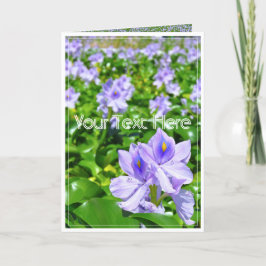 ホテイアオイ KARTE