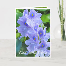 ホテイアオイ KARTE