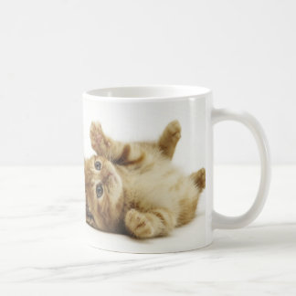 マルチカン子猫　マグカップ KAFFEETASSE