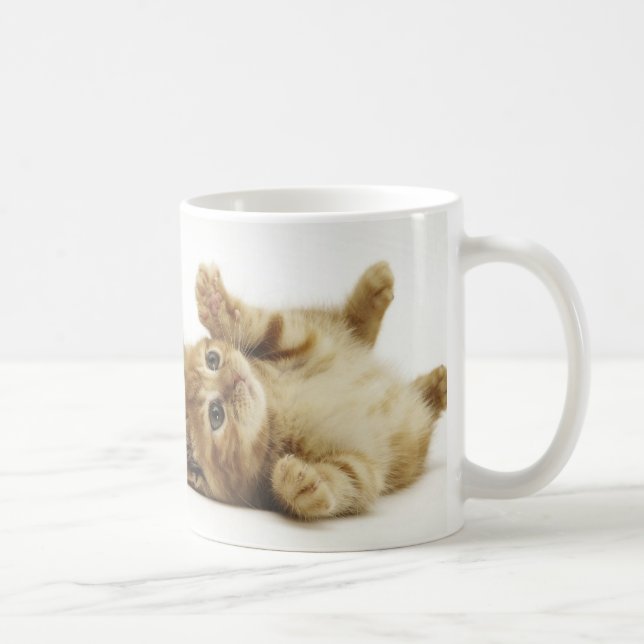 マルチカン子猫　マグカップ KAFFEETASSE (Rechts)
