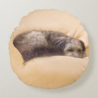 ミックス犬と至福の眠りを(グリーン) RUNDES KISSEN