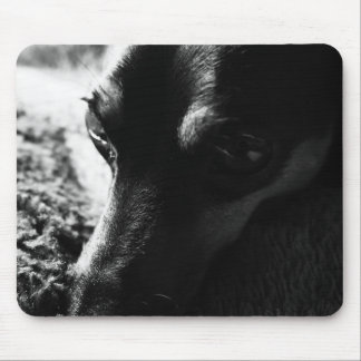 ミニチュアピンシャー マウスパッド MOUSEPAD
