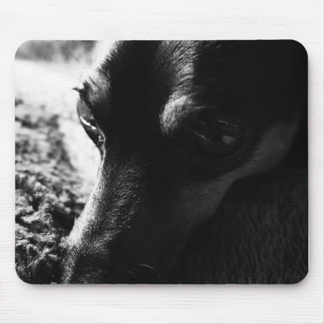 ミニチュアピンシャー マウスパッド MOUSEPAD (Vorne)