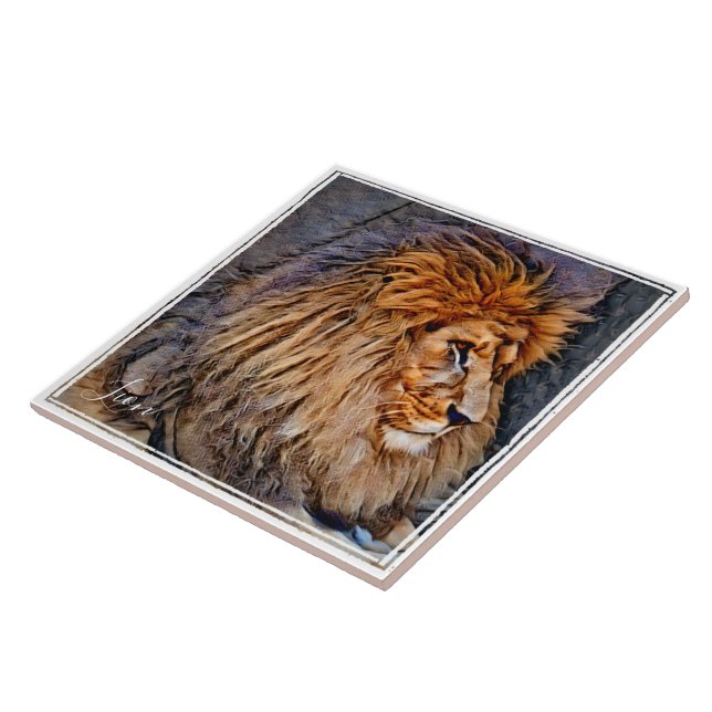 ラ オ タ ル FLIESE (Seite)