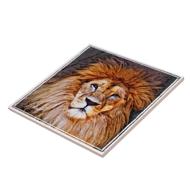 ラ オ タ ル FLIESE (Seite)