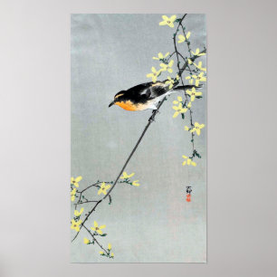 レ ョ ウ 小, 鳥, Bird auf Forsythia Poster