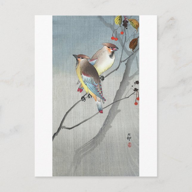 レ mit 古 赤 Waxwings い Postkarte (Vorderseite)