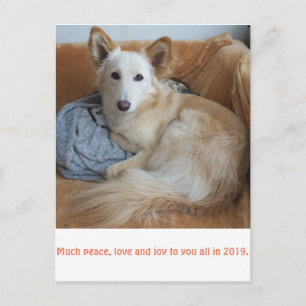 ワ ミ グ雪2019 POSTKARTE