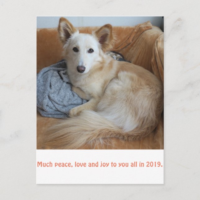 ワ ミ グ雪2019 POSTKARTE (Vorderseite)