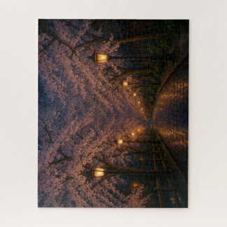 京都・夜桜の並木道 / Kyoto Nighttime Cherry‐Blossom Avenue