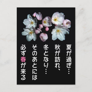 募 金 用 , Kirschblüten , 桜 Postkarte