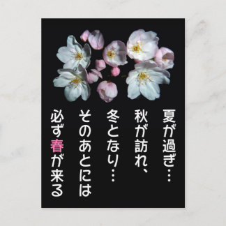 募 金 用 , Kirschblüten , 桜 Postkarte