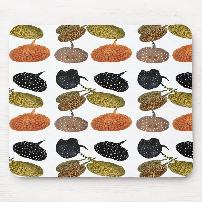 南 米 エ 産 の水淡ウ5. MOUSEPAD (Vorne)