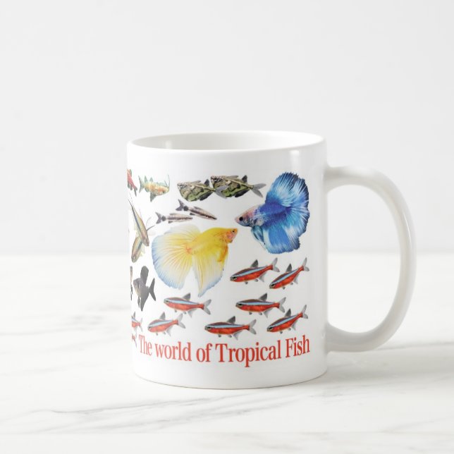 小型熱帯魚のマグカップ KAFFEETASSE (Rechts)
