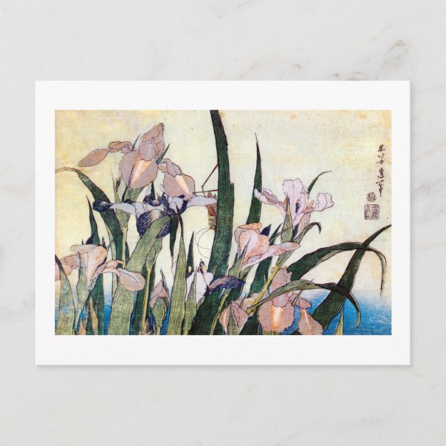 杜 若 と き ぎ り, り, す Iris und Grasshopper, Hokusai Postkarte (Vorderseite)