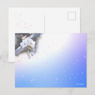 桜のシーズンポストカード POSTKARTE