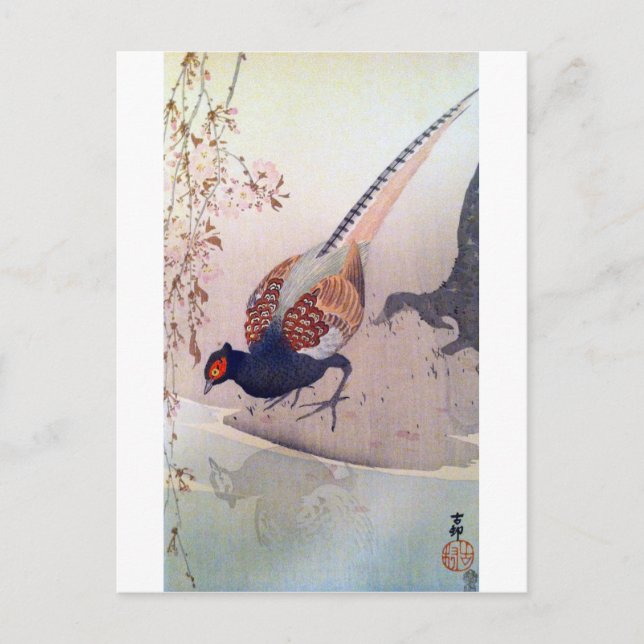 桜 に Sohn, 古 邨 Pheasant und Cherry, Ohara Kohara Postkarte (Vorderseite)
