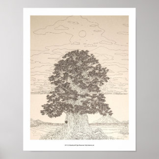 海 辺 の 大 木 POSTER