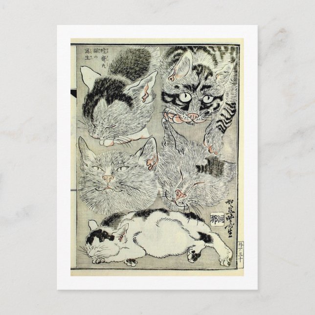 猫, 暁 斎 Katzen, Kyōsai, Ukiyo-e Postkarte (Vorderseite)