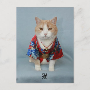 猫 POSTKARTE