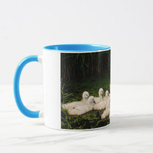 白 鳥 の 親 子 TASSE