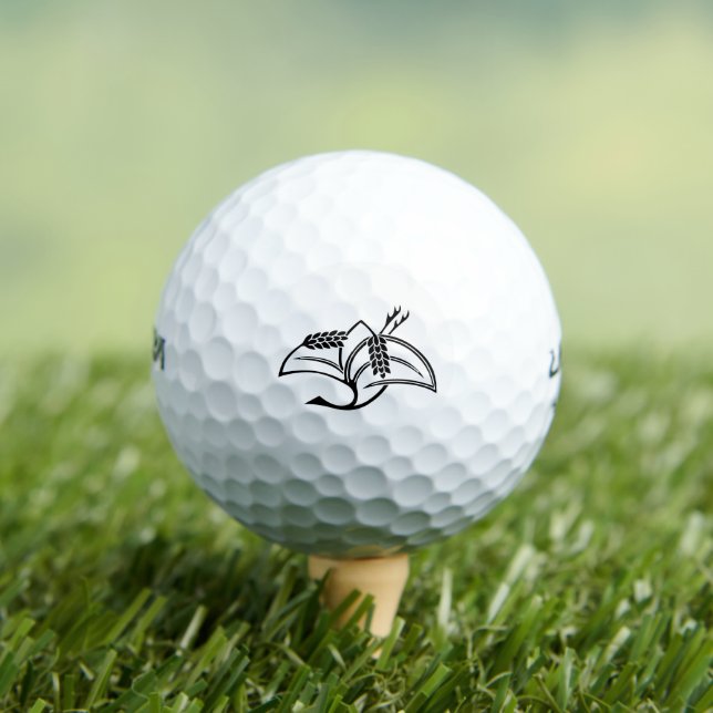 稲鶴 GOLFBALL (Insitu T-Shirt)