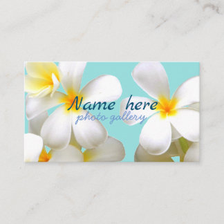 米スタンダード 8.89cm x 5.08cm名刺 名刺 visitenkarte