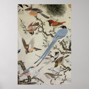 群 鳥 図, 中 道, Vögel (im Detail), Nakazumi Doun Poster