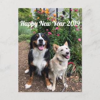 花 の 年 状2019 POSTKARTE