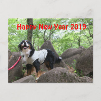 花 音2019 年 状 POSTKARTE