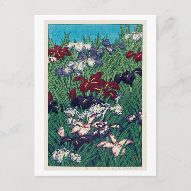 菖蒲, Iris, Hasui Kawase, Woodcut Postkarte (Vorderseite)