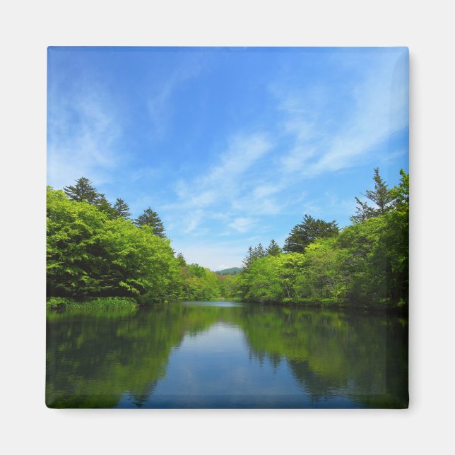 軽井沢・夏の雲場池 MAGNET (Vorne)