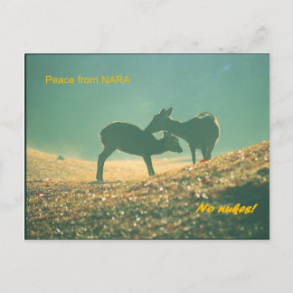 鹿 Nara Postkarte