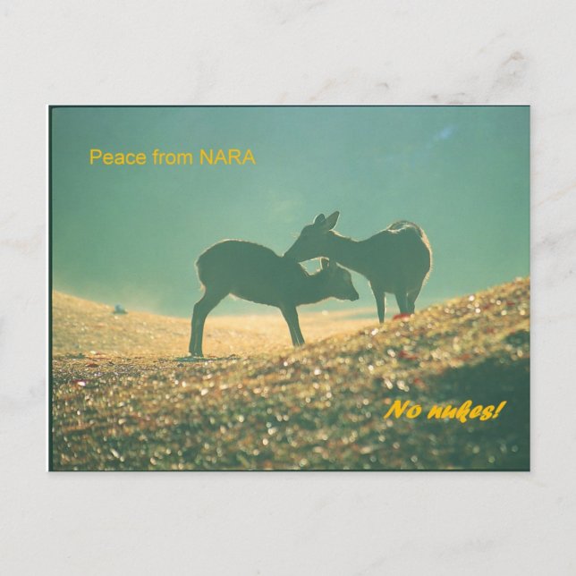 鹿 Nara Postkarte (Vorderseite)