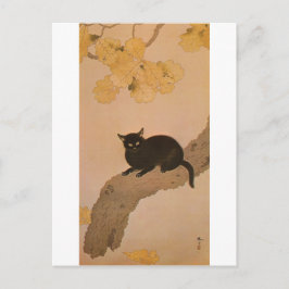 黒猫, 春草 schwarze Katze, Shunsō Postkarte