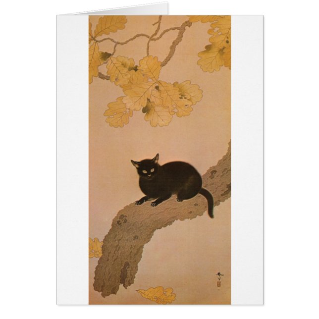 黒 猫, 春 草 Black Cat, Shunsō (Vorne)