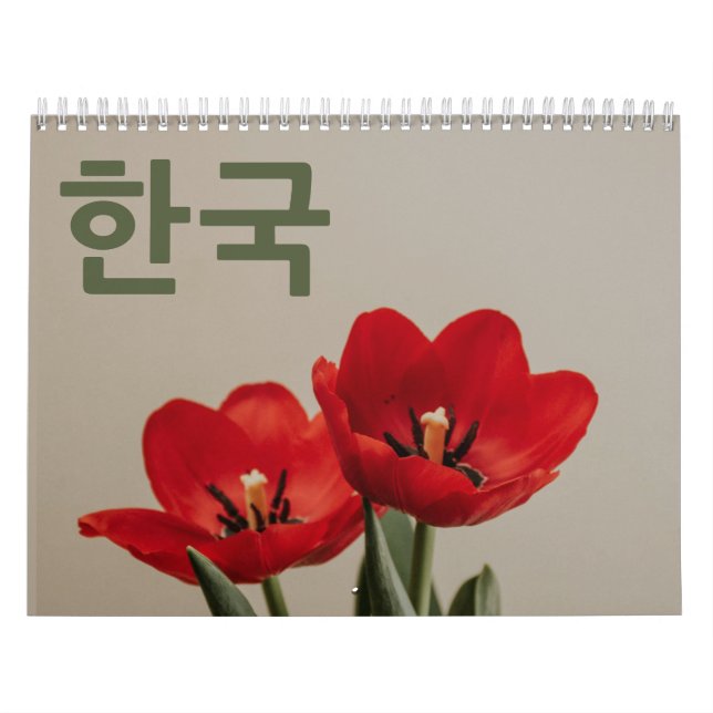 한 국 력 Korea Calendar in Koreanischer Sprache 2026 Kalender (Titelbild)