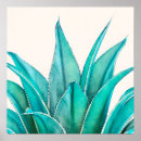 Recherche de agave posters Botanique