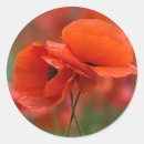 Suche nach mohn aufkleber Sommer