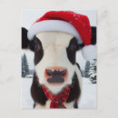 Recherche de vache père noël cartes postales Mignon