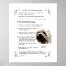 Recherche de règle de chat posters Animaux domestiques