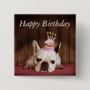 Suche nach französische bulldogge buttons Tiere